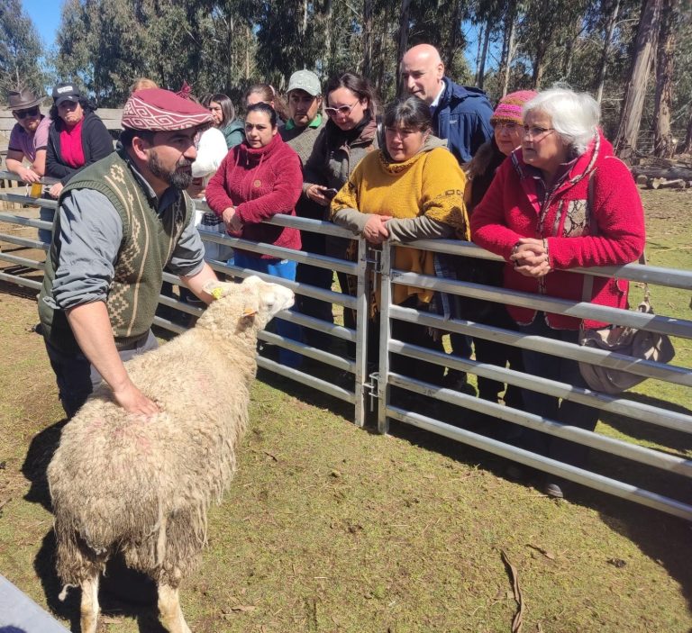 Agricultores de Los Ríos avanzan en adaptación al cambio climático