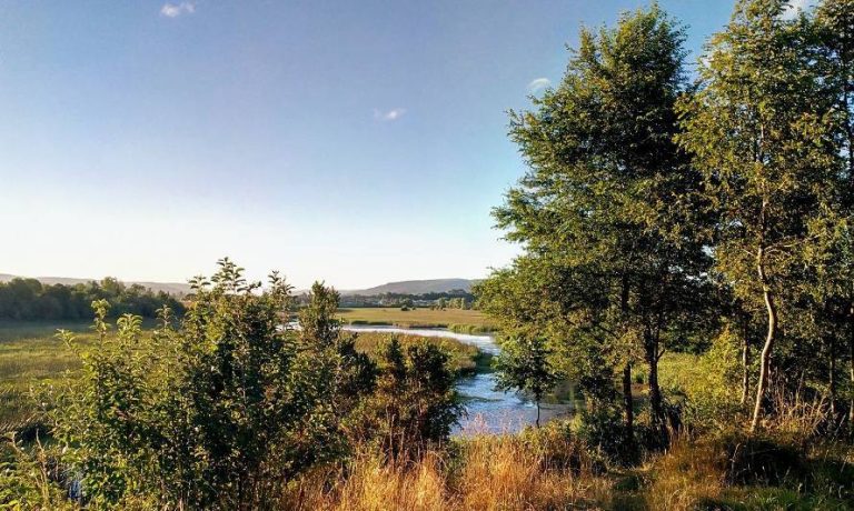 PDI detuvo a dos personas por descargar aguas servidas en Santuario Humedal Angachilla