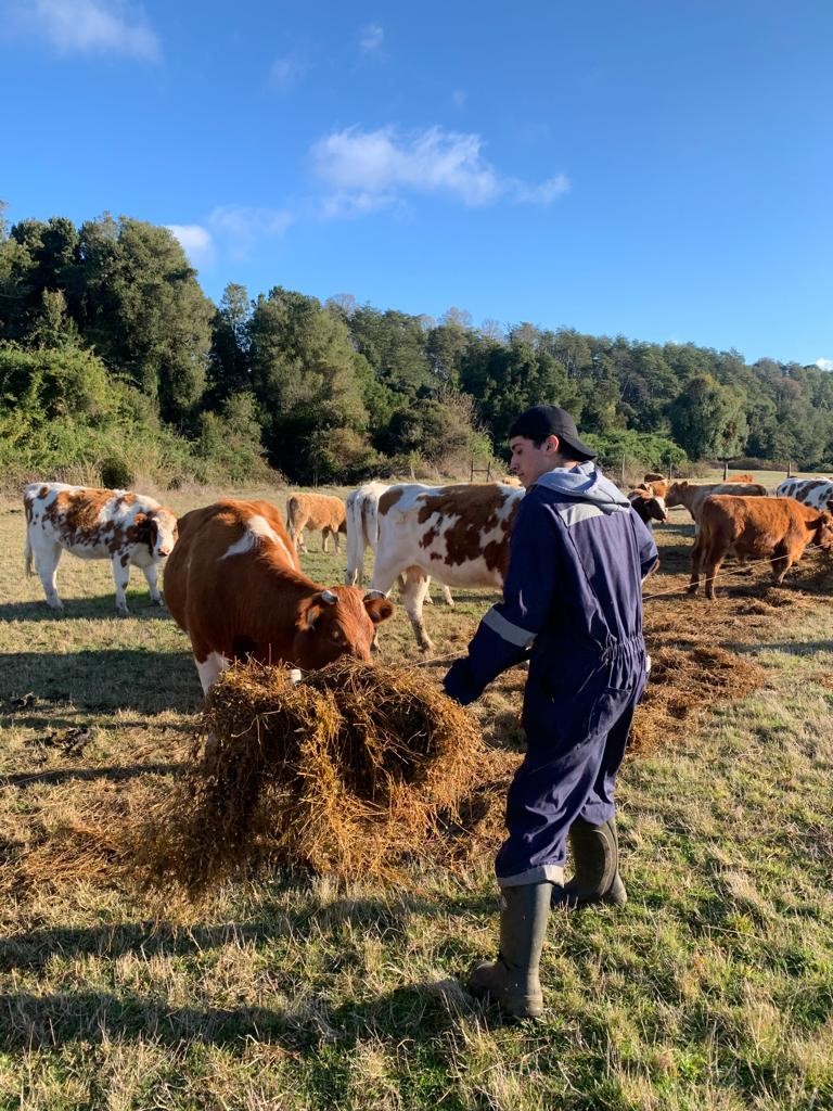 Jóvenes de Los Ríos abordarán cambio climático en ferias vocacionales interactivas