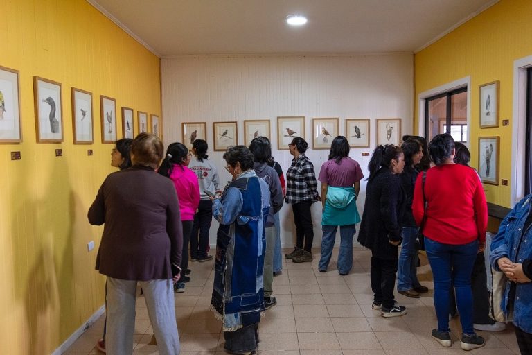 Se podrá postular al Programa de Apoyo a Organizaciones Culturales Colaboradoras (PAOCC)