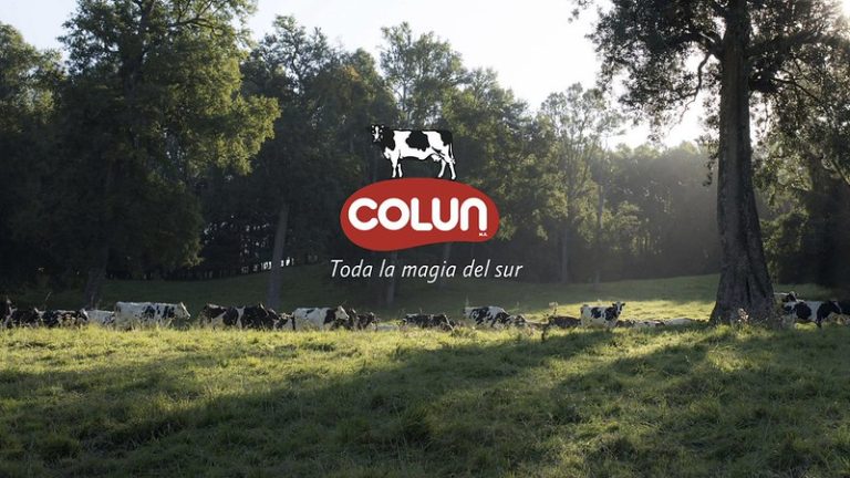 Comisión de Evaluación Ambiental aprueba nueva planta de quesos Colún por US$140 millones en Los Ríos