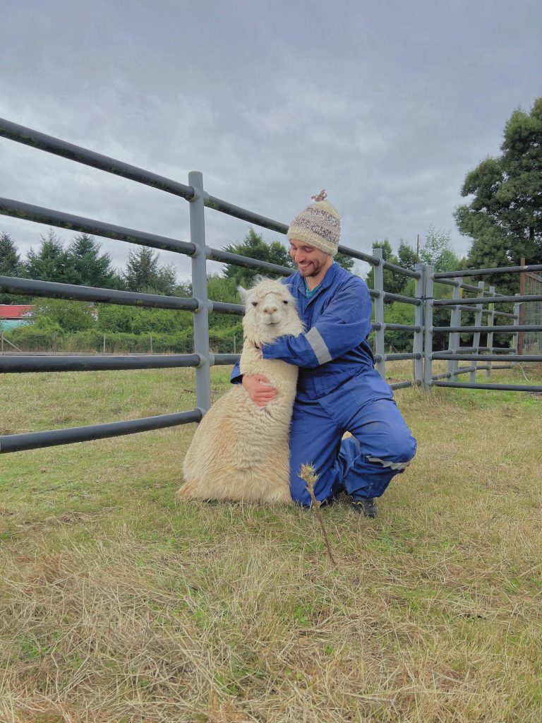 Investigadores de la UACh y Fundación Ciencia & Vida avanzan hacia una terapia innovadora contra el hantavirus