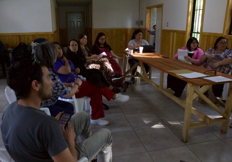 Junta de Vecinos El Salto de Los Lagos se adjudica proyecto del Gobierno Regional