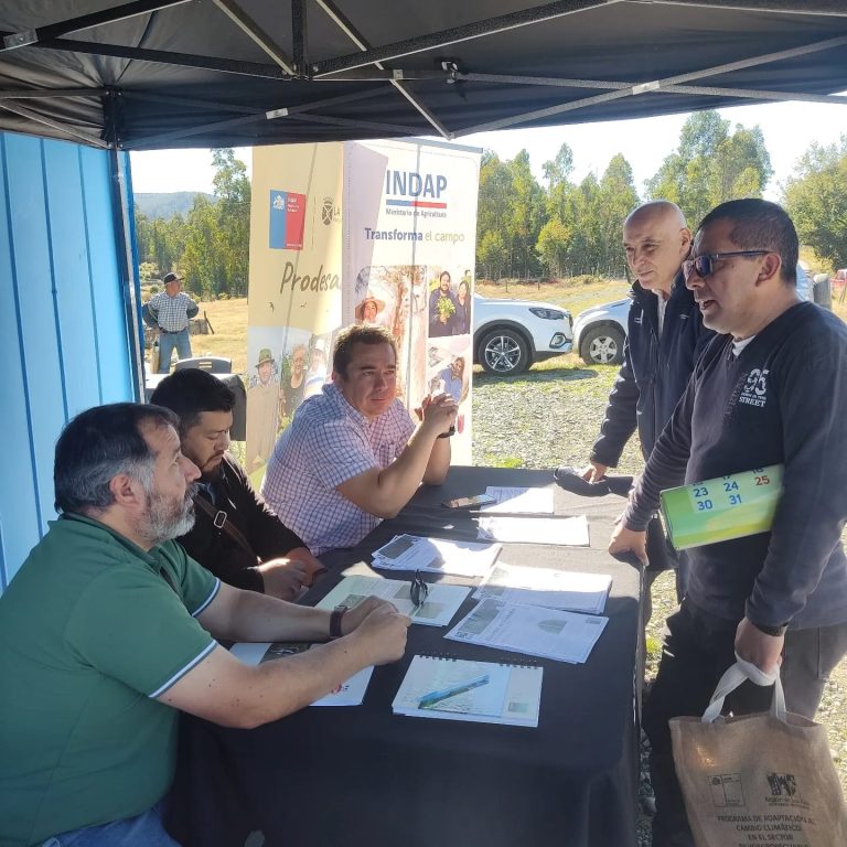 Operativo acercará servicios públicos a comunidad de Coñaripe y sectores cercanos