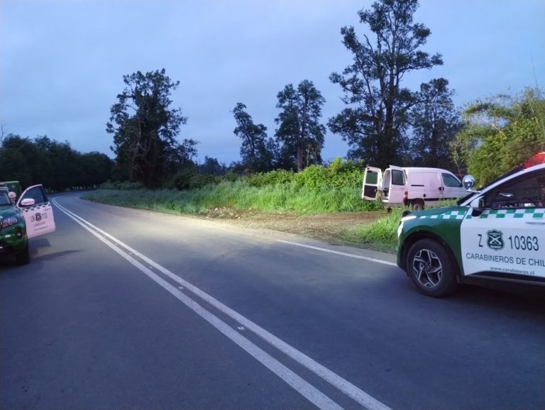 Detienen a sujeto con amplio prontuario tras intento de robo en sector Santa Filomena
