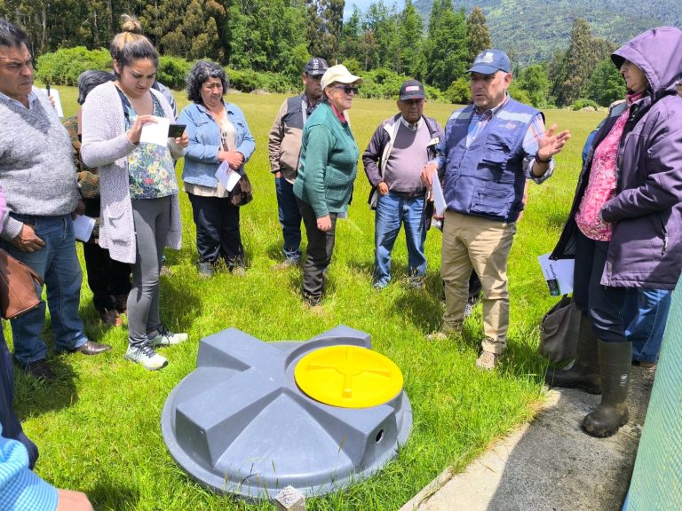 Agricultores conocen avances en biotecnologías para producción de ovinos más sustentable y rentable  