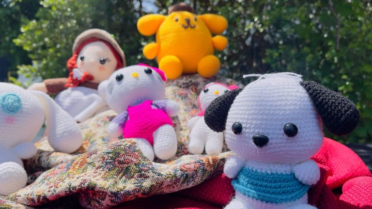 ¡Ya se viene la Expo FOSIS Los Ríos 2024!