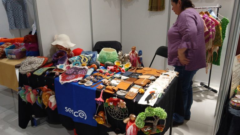 Con éxito se realizó la Feria Laboral de Sence Los Ríos en Valdivia