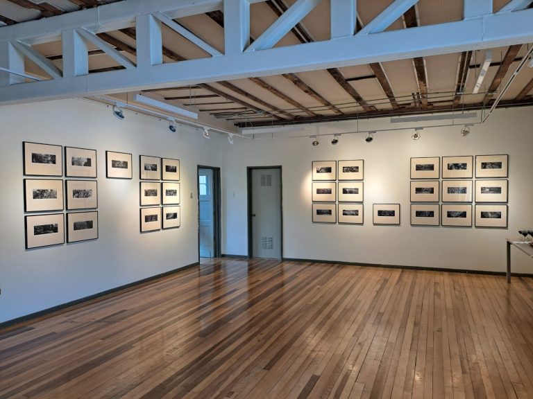 El Jardín Botánico de Valdivia cobra vida en 50 imágenes: Una exposición fotográfica imperdible