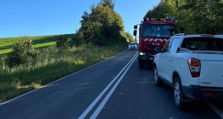 Accidente fatal en Río Bueno: Ciclista fallece en colisión con camioneta