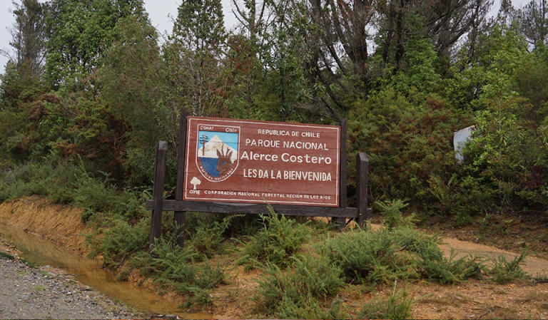 Nancy Henríquez: “Hasta morir me quedaré acá”