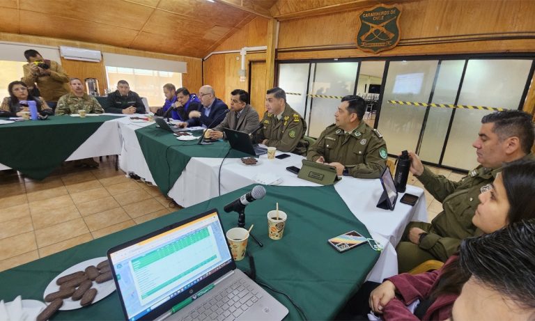 Avanza Plan Regional de Seguridad en Los Ríos con foco en violencia intrafamiliar, robos y abigeato