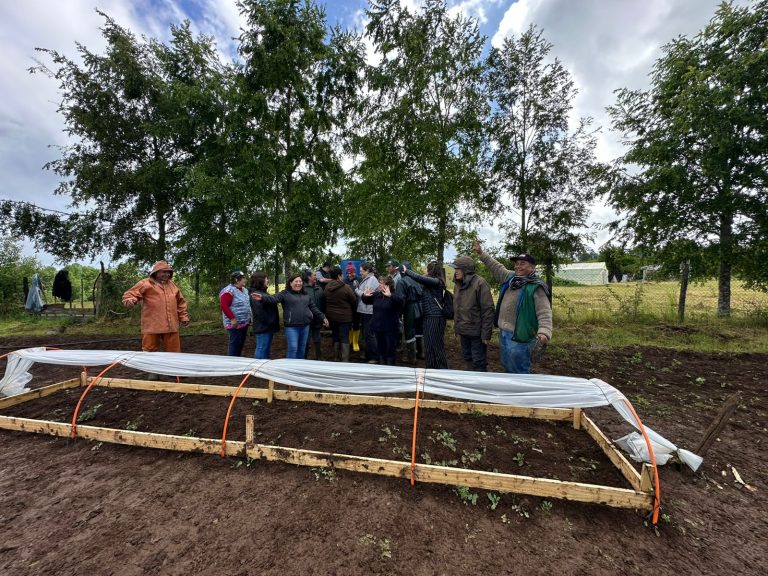 Pequeños agricultores de La Unión reciben capacitación sobre microtúneles agrícolas para potenciar su producción