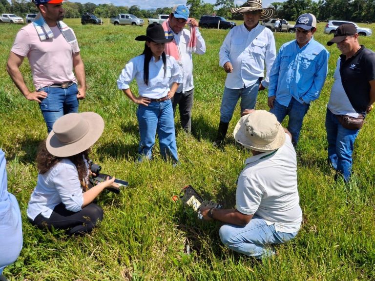 Día Mundial del Suelo: Los productores de Grassland  Analysis y su aporte a un futuro sostenible