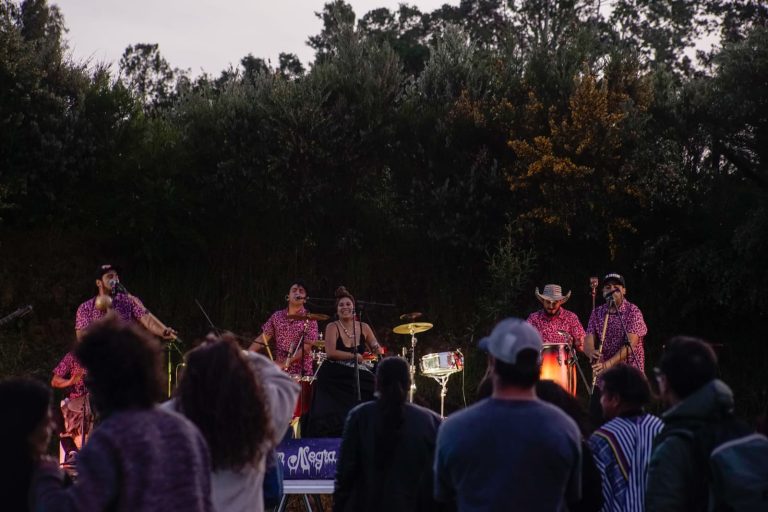 Finalizó Mercadito 2024: Un encuentro de bienestar, arte y cultura en Lago Ranco 