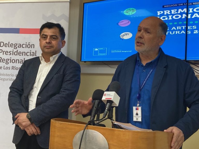 Seremi de las Culturas anunció a personas ganadoras de los Premios Regionales de las Artes y las Culturas 2024