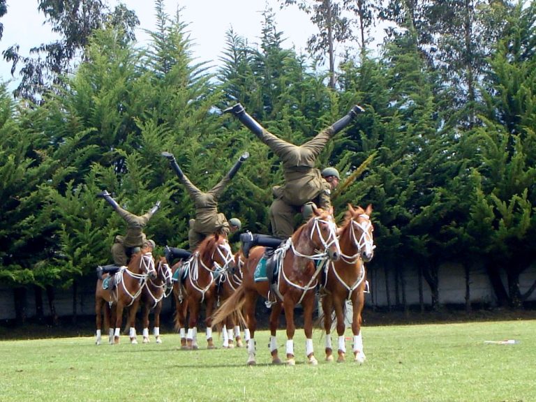 Cuadro Verde de Carabineros se presentará en 4 comunas de la región