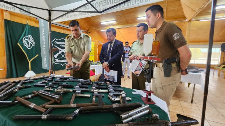 Carabineros exhibió armas recuperadas en la región