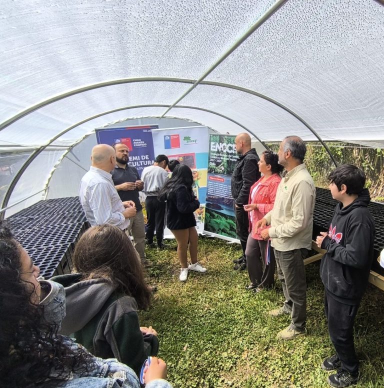 Comunidad de Escuela Rural La Aguada de Corral ya cuenta con un nuevo invernadero