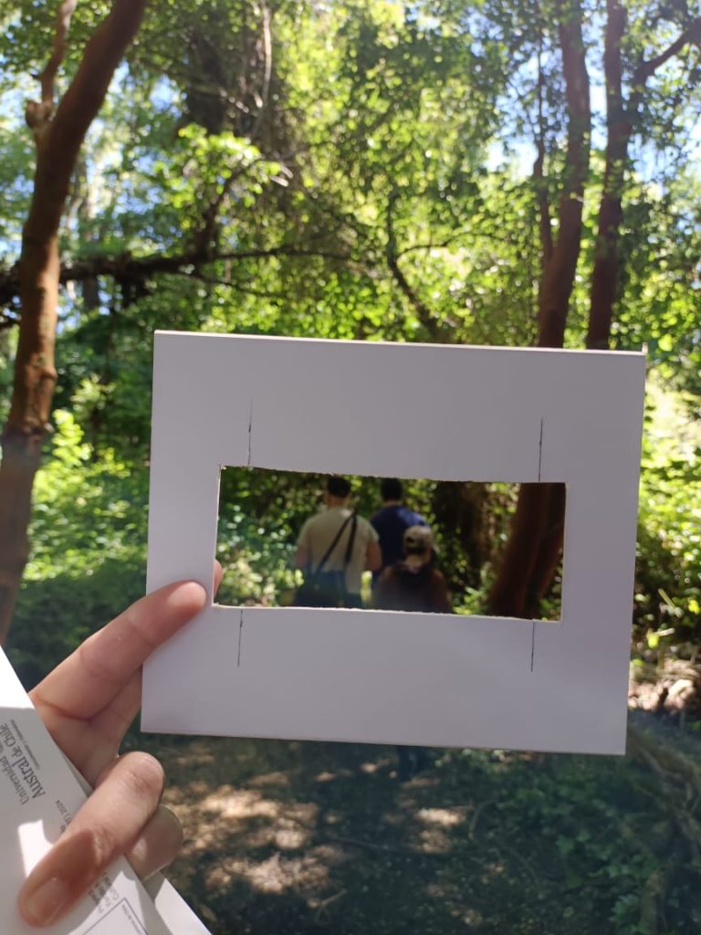 El Jardín y sus Símbolos: Taller de Fotografía Inclusivo en el Jardín Botánico de la UACh