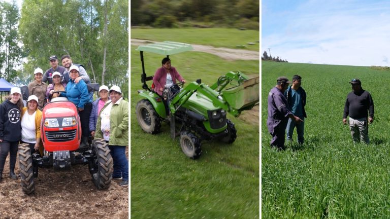 En plena ejecución se encuentra programa de apoyo a la agricultura regional impulsado por INDAP y el GORE