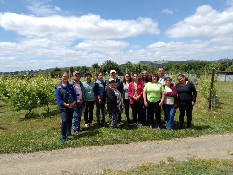 Delegación de Aysén visita La Unión para conocer trabajo de proyectos asociativos y cooperativas del sector agrícola