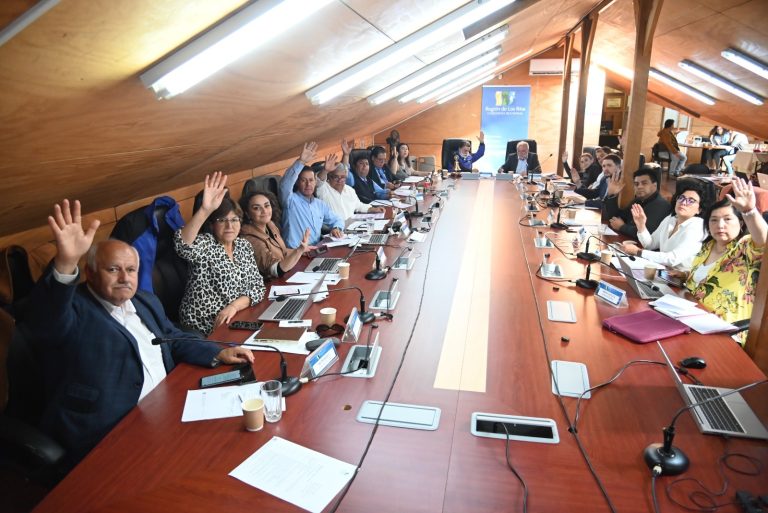 CORE aprueba concesiones de uso gratuito de inmuebles fiscales para las comunas de Valdivia, Los Lagos y Panguipulli