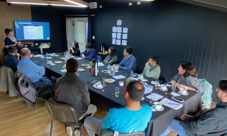 Mesa Los Ríos Economía Creativa cierra año con positiva evaluación y nuevos proyectos