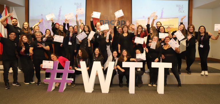 Mujeres de Los Ríos se prepararon para asumir el liderazgo en transición energética