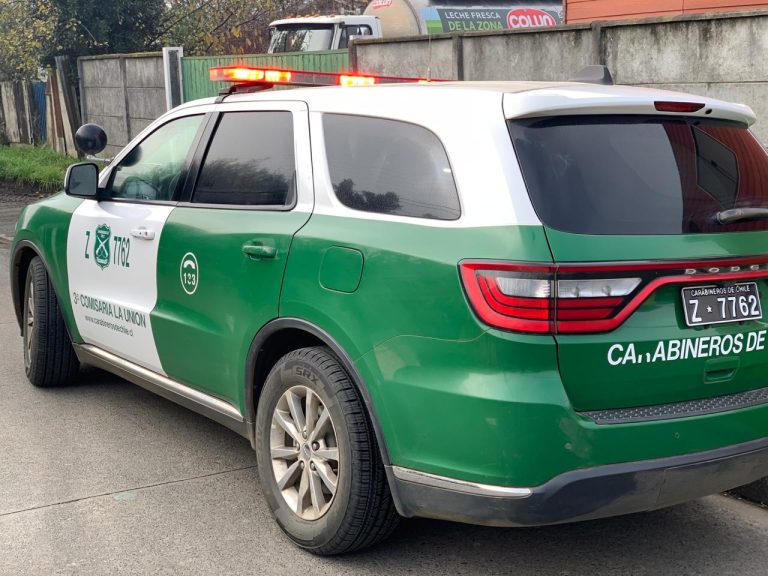 Carabineros de La Unión detienen a ciudadano argentino por robo a domicilio tras oportuna respuesta a denuncia