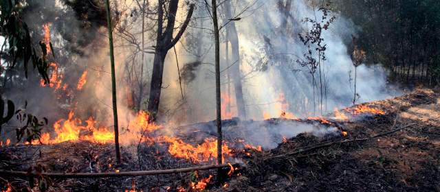 Se declara Alerta Temprana Preventiva para Los Ríos por amenaza de incendios forestales