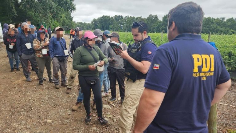 PDI detectó a 46 extranjeros trabajando de forma irregular en predio agrícola