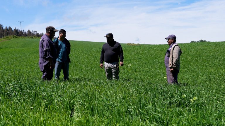 Comunidad Indígena de Chosdoy en Lanco recibe tractor para fortalecer su trabajo asociativo