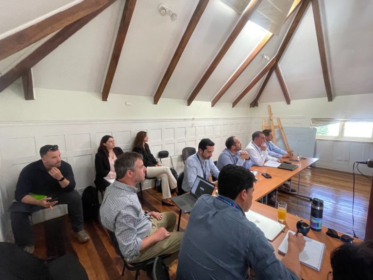 Empresas del rubro forestal y eléctricas son coordinadas por CONAF para prevenir incendios forestales