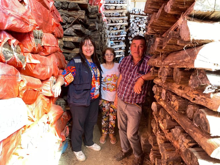 Hasta el 14 de marzo se abre convocatoria para acceder al Fondo Leña Más Seca