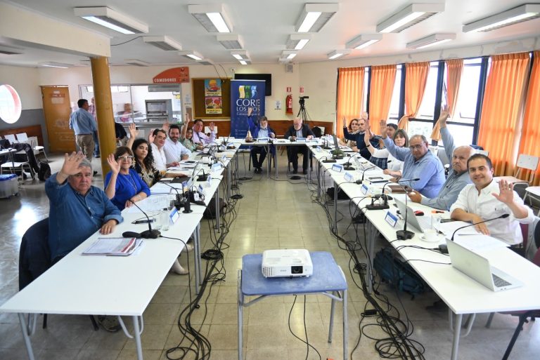 Consejo Regional definió representantes para sus comisiones de trabajo para el año 2025