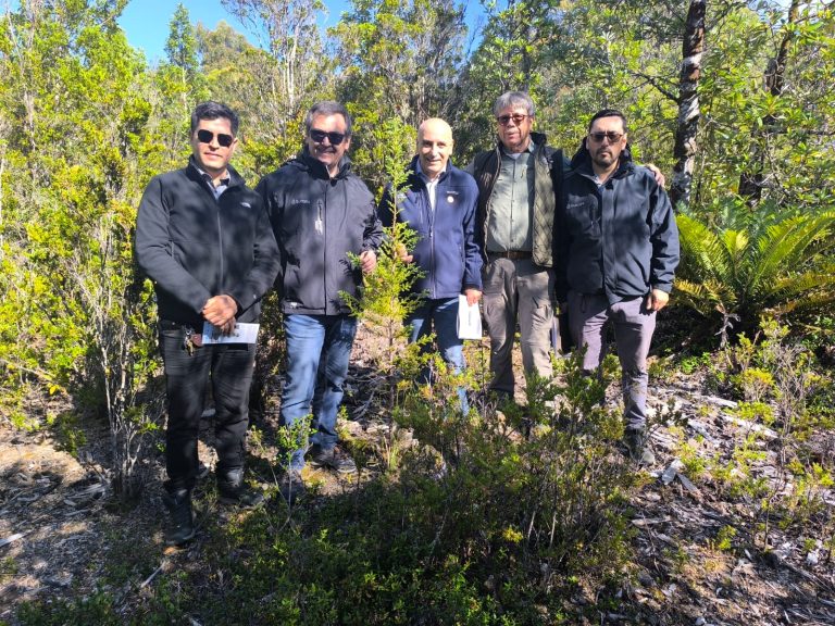 Proyecto de restauración ecológica busca asegurar abastecimiento y calidad del agua de Corral