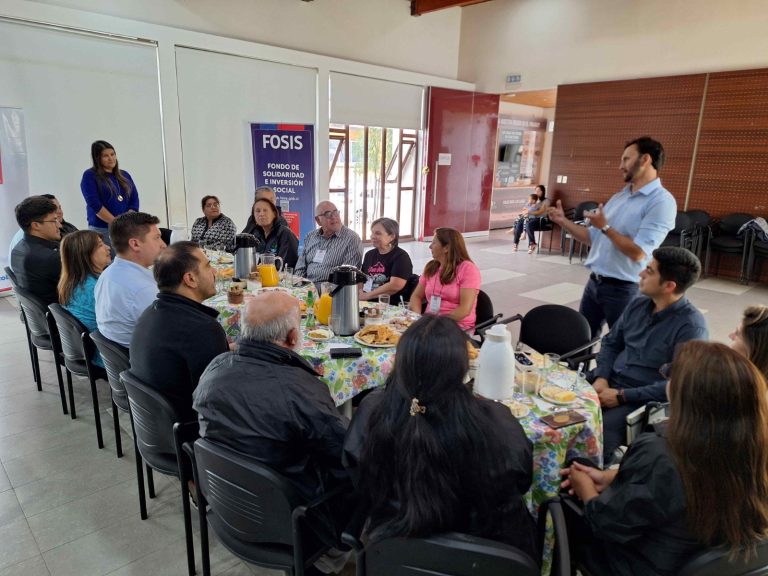 Dos agrupaciones productivas de Los Ríos concluyen con éxito programa de apoyo asociativo del FOSIS