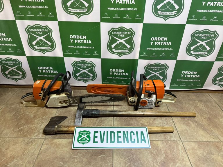 Detienen a dos hombres por tala ilegal y uso de vehículo con patente falsificada en Panguipulli