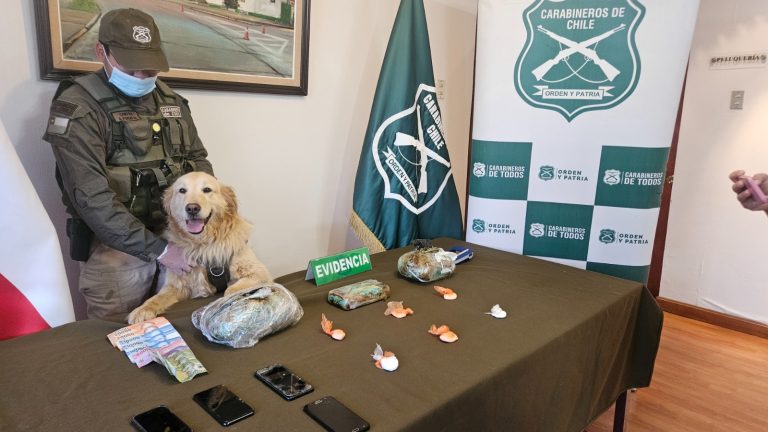 8 detenidos y más de 3 kg de droga incautada dejan últimos operativos del OS7 Valdivia