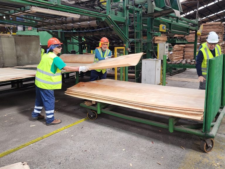 Seremi del Trabajo destacó el aumento de la ocupación en la región de Los Ríos