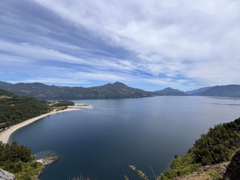 El Amor, la Naturaleza y la Trascendencia de la Vida