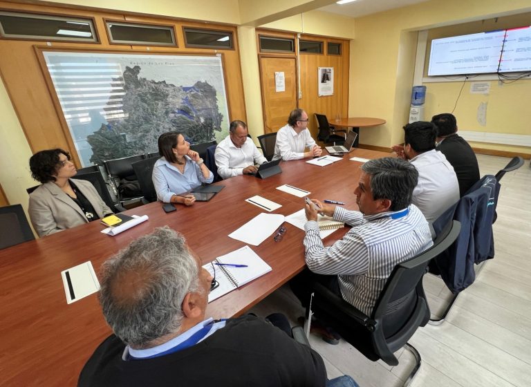 Ministerio de Transportes presentó positiva reevaluación para proyecto Puente Cochrane