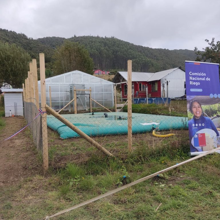 CNR bonifica proyectos de Los Ríos en concurso para pequeña agricultura y cooperativas