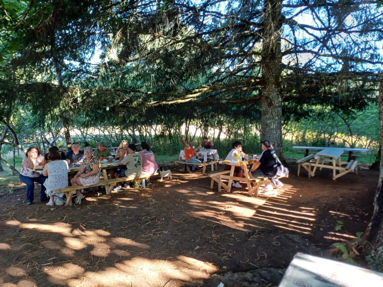 Autoridad Sanitaria ha realizado 233 fiscalizaciones en ferias costumbristas