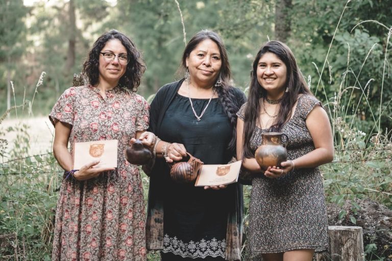 Ministerio de las Culturas entregará más de $1.730 millones a proyectos culturales de Los Ríos este 2025