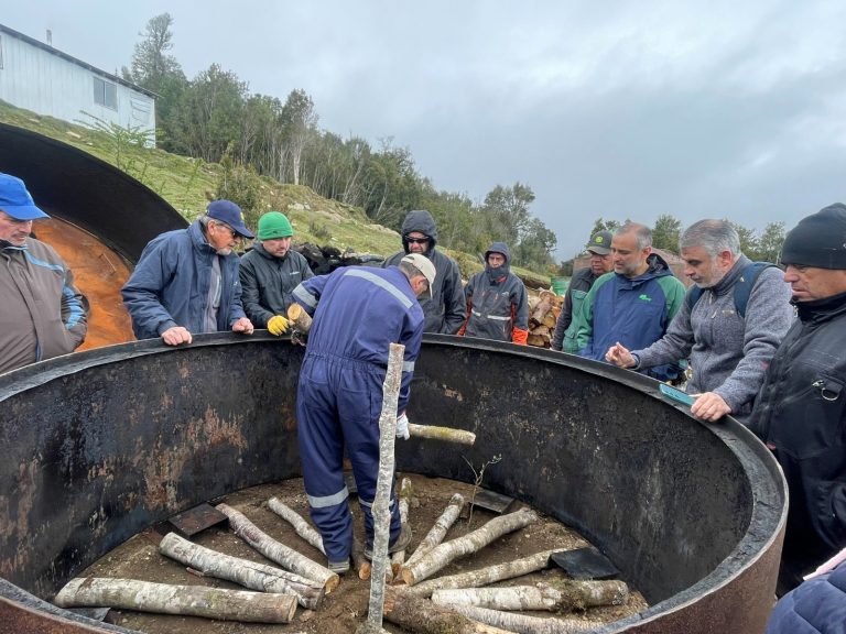 Programa de Dendroenergía de CONAF incentiva desarrollo sostenible del bosque
