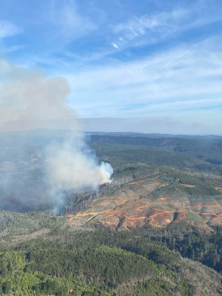 Incendio forestal en Paillaco avanza: Más de 20 Hectáreas consumidas y refuerzos en combate