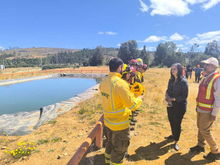 Región de Los Ríos cuenta con piscina de 360 mil litros para el combate de incendios forestales