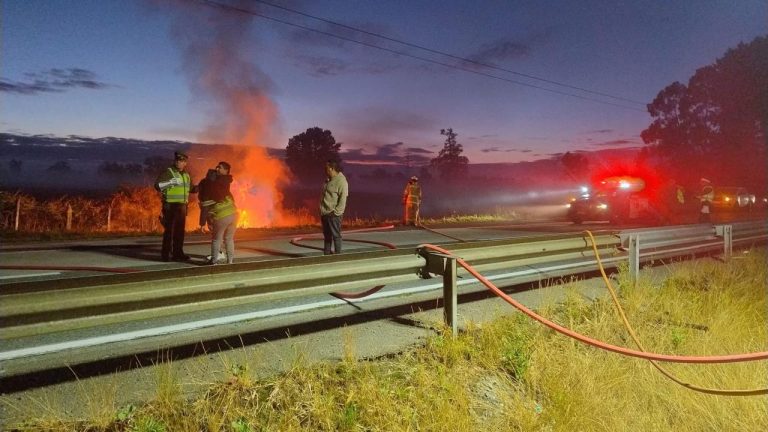 Fatal accidente en San Pablo: Vehículo impacta a un vacuno y se incendia